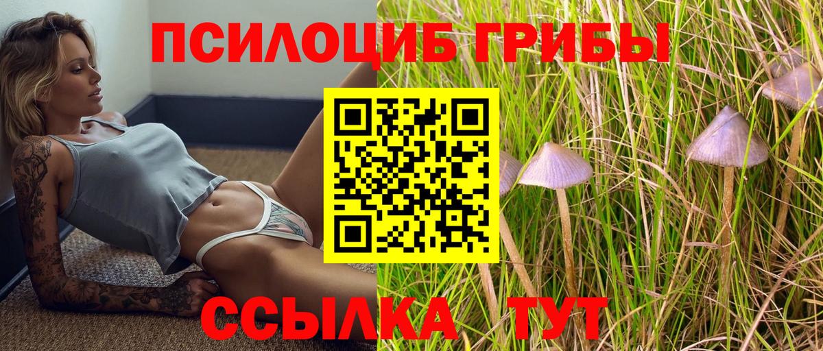 Псилоцибиновые грибы прущие грибы Гусев